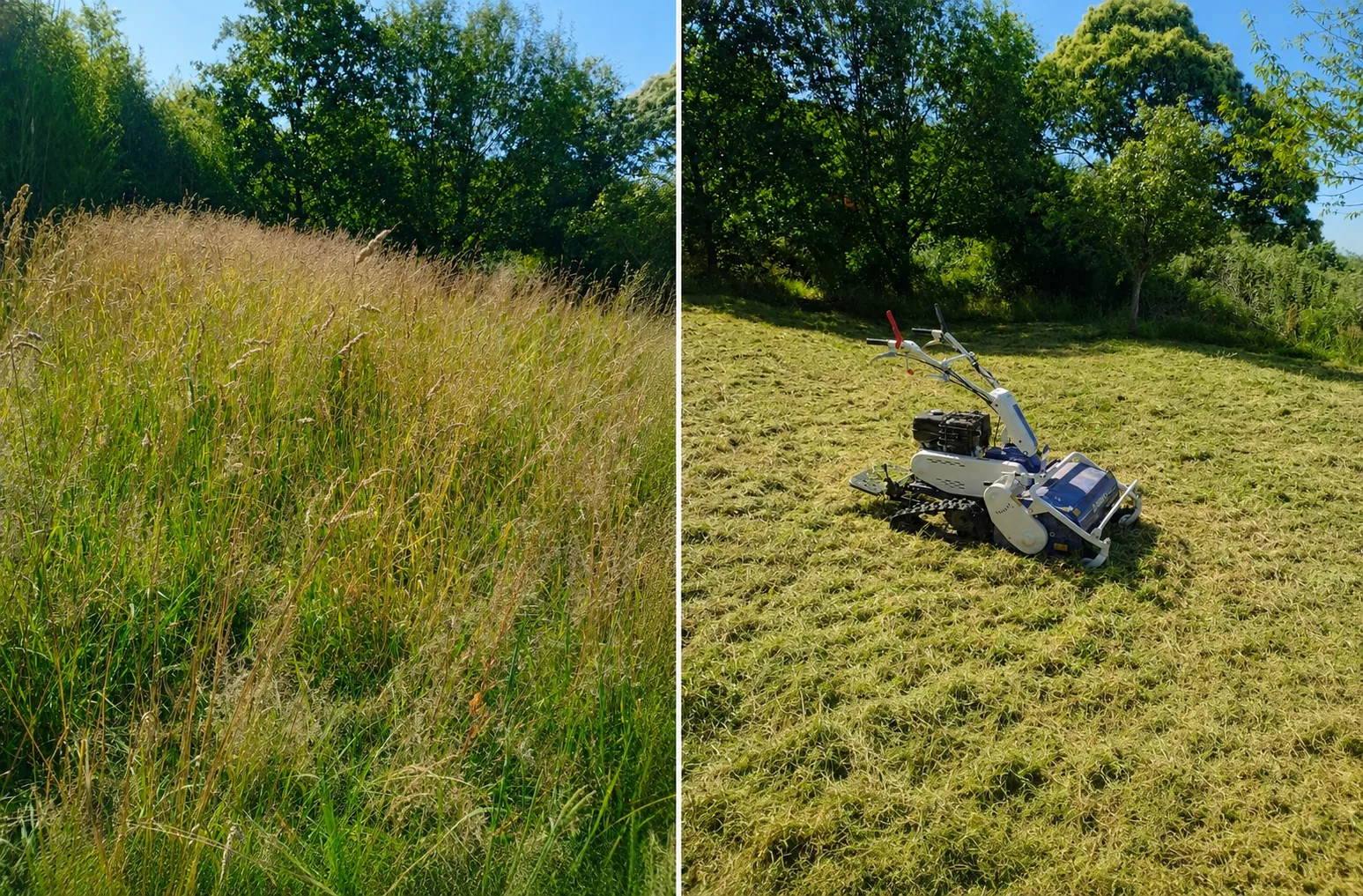Avant et après un débroussaillage réalisé par Parcs et Jardins Landais