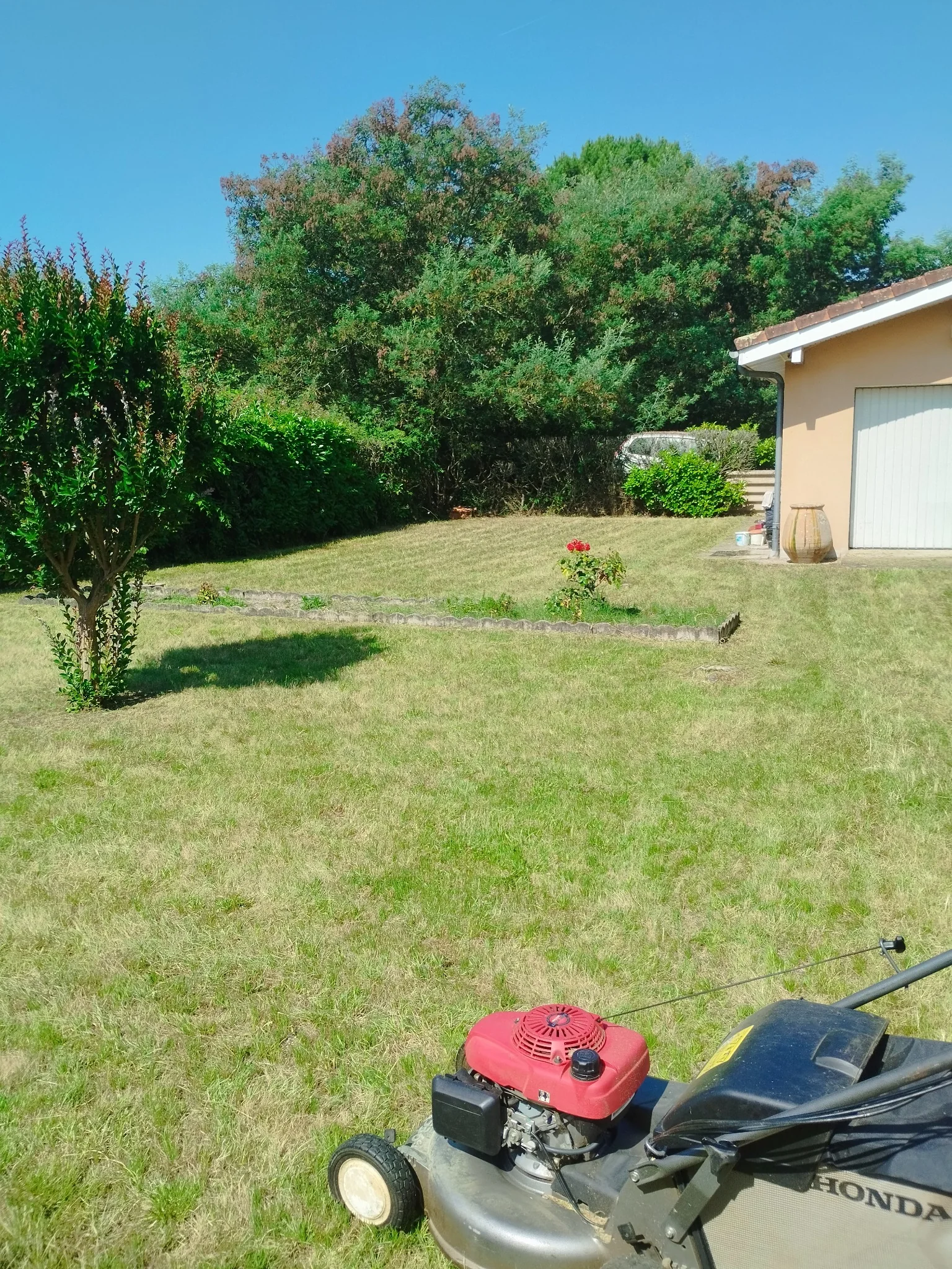 Grand jardin après la tonte